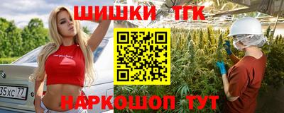 индика Обь