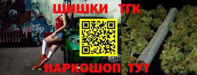 индика Обь
