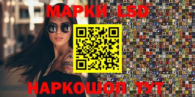 индика Обь