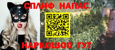 индика Обь