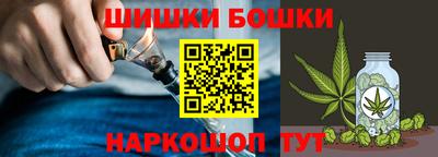 индика Обь
