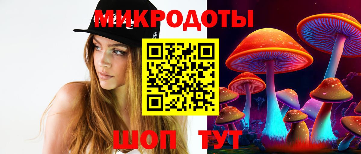 Галлюциногенные грибы Psilocybe Краснокамск